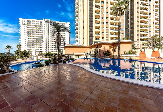 Apartment in Playa Paraiso - Playa Paraiso Club Apartment in Playa Paraiso - Playa Paraiso Club