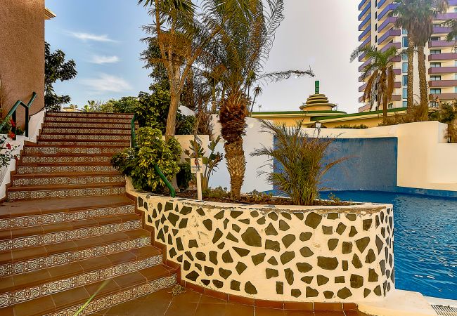 Apartment in Playa Paraiso - Playa Paraiso Club Apartment in Playa Paraiso - Playa Paraiso Club