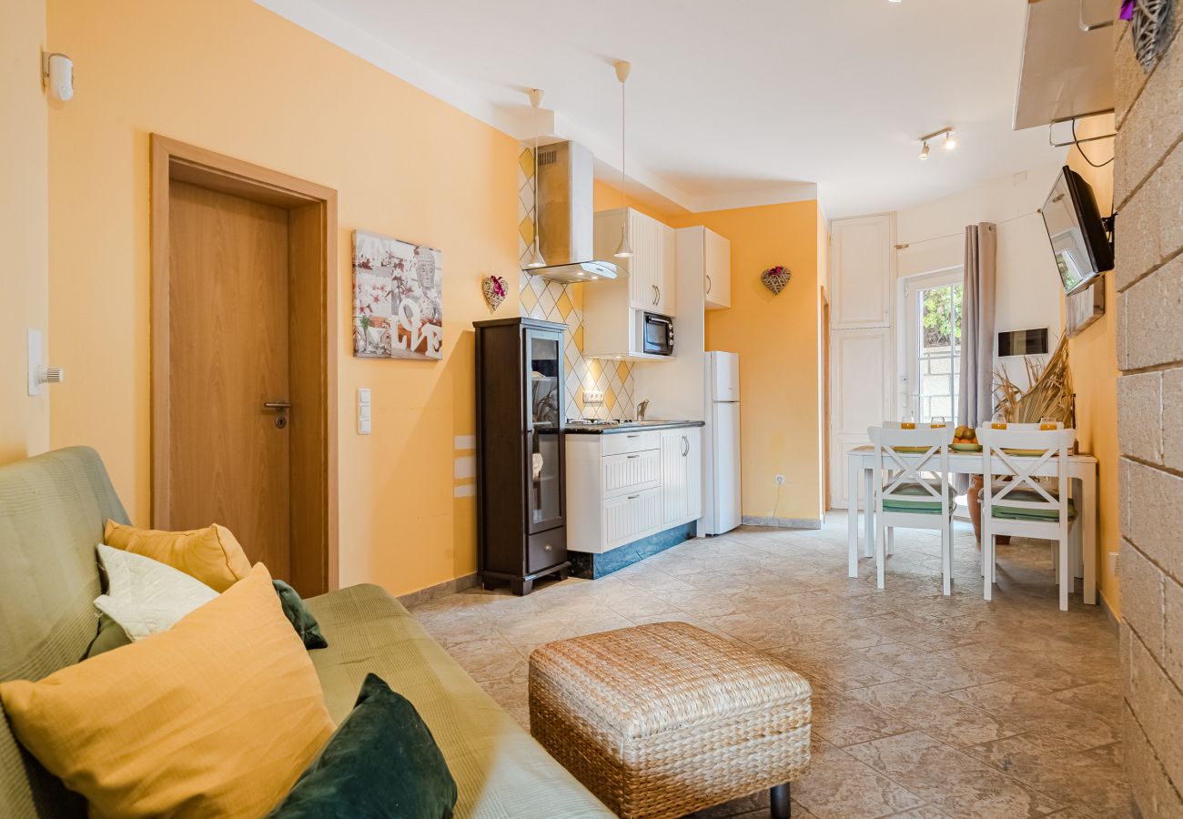 House in Arico - Finca Aurora -  Sea View