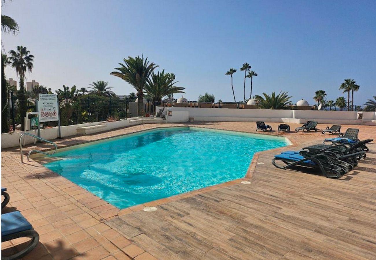 Apartment in Playa de Las Americas - My Sun My Ocean - Sea View Apartment