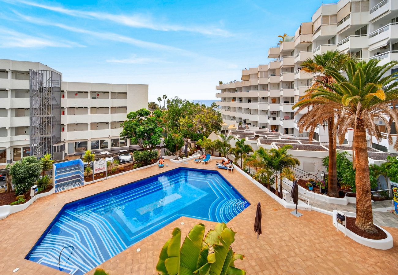 Apartment in Playa de Las Americas - My Sun My Ocean - Sea View Apartment
