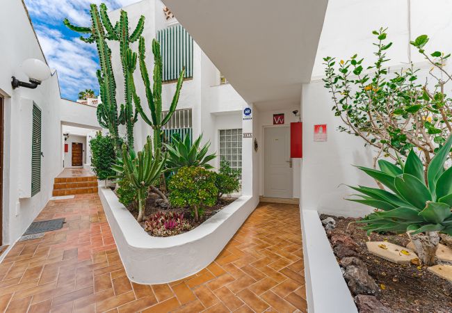 Apartamento en Costa Adeje - Summer Paradise -  Island Village Apartamento en Costa Adeje - Summer Paradise -  Island Village