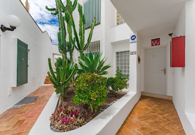 Apartamento en Costa Adeje - Summer Paradise -  Island Village Apartamento en Costa Adeje - Summer Paradise -  Island Village