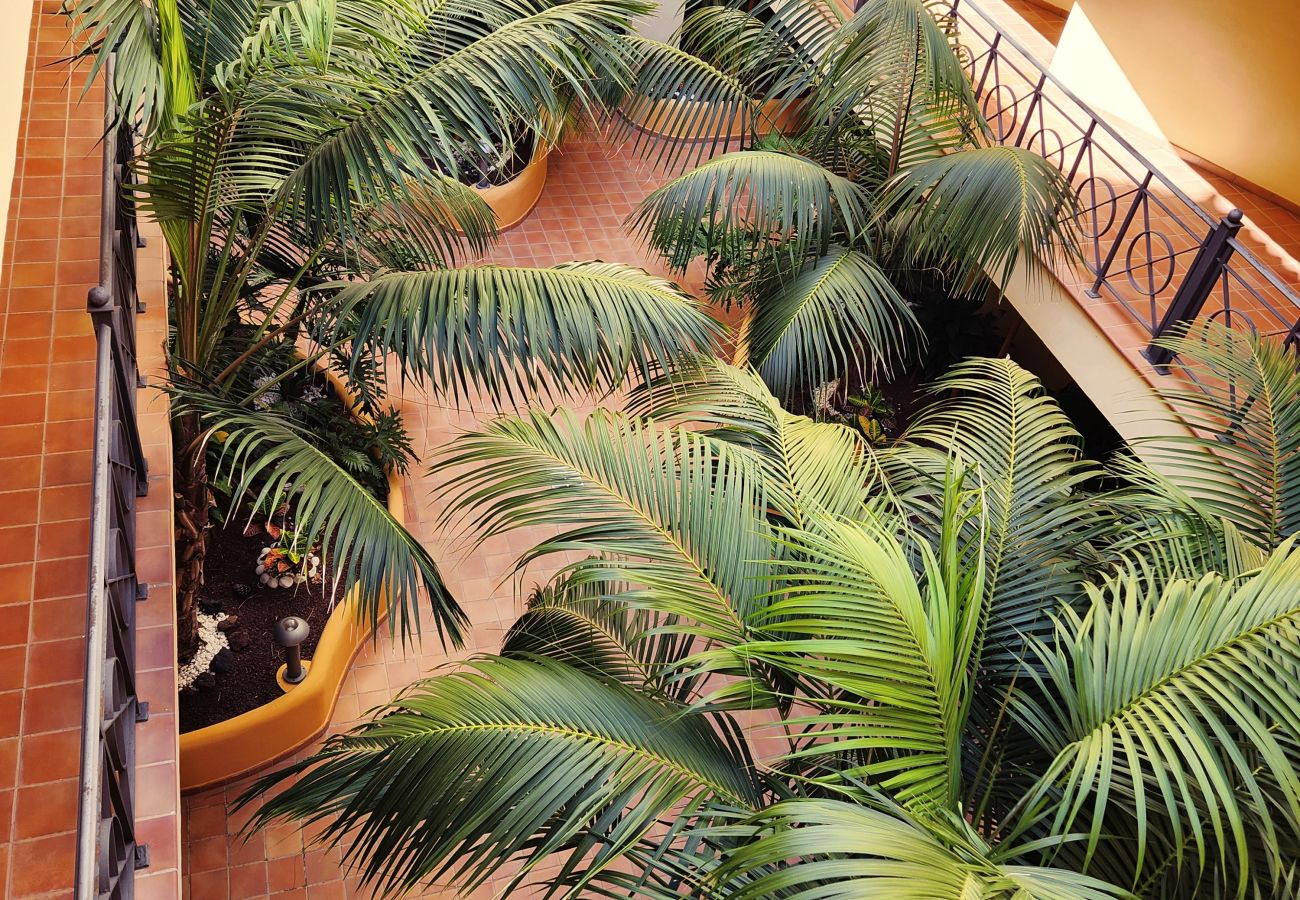 Apartamento en Los Cristianos - Sunshine Apartment Los Cristianos