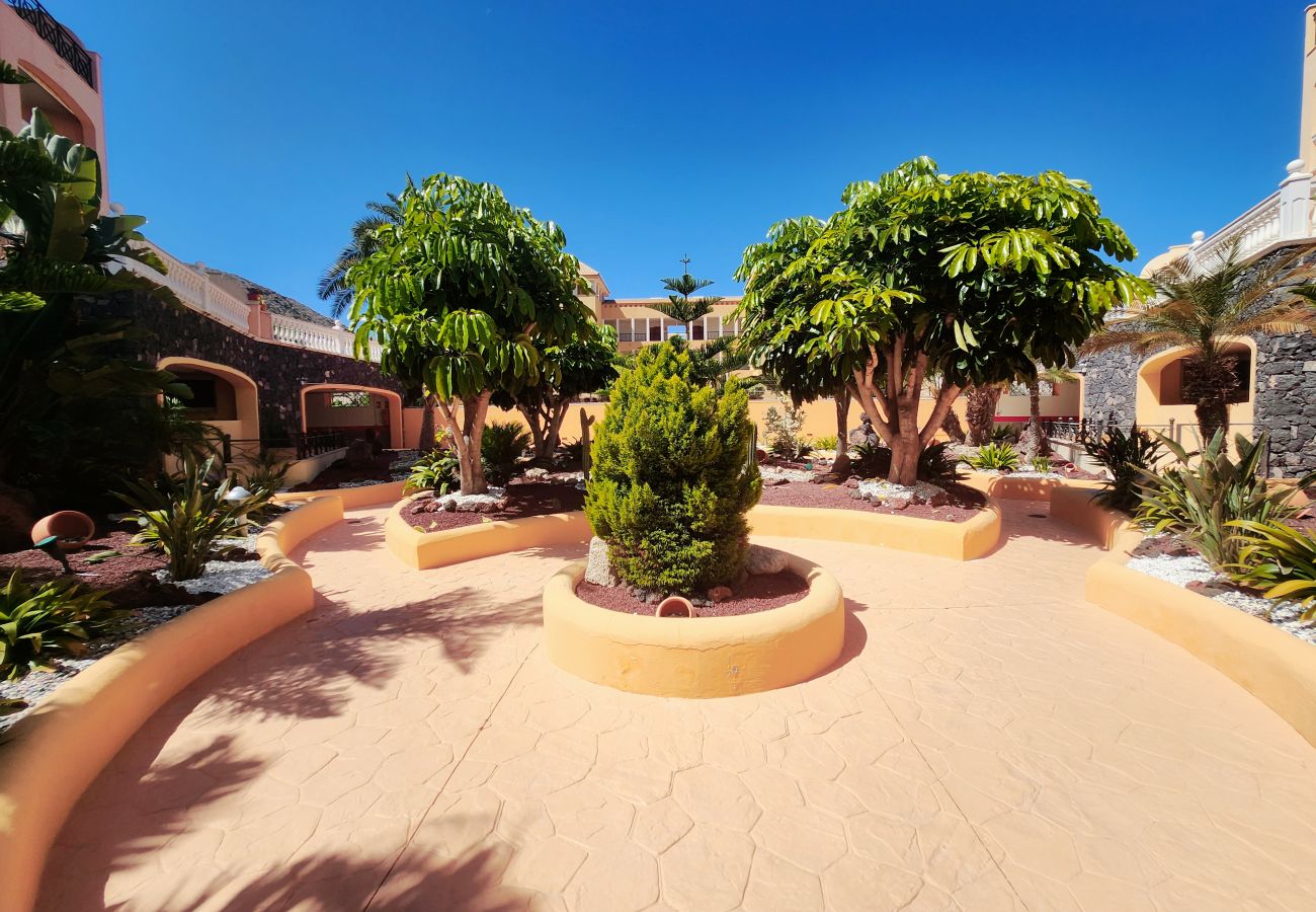 Apartamento en Los Cristianos - Sunshine Apartment Los Cristianos