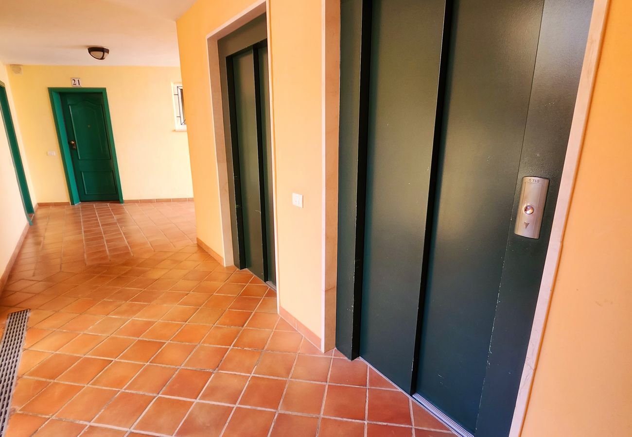 Apartamento en Los Cristianos - Sunshine Apartment Los Cristianos