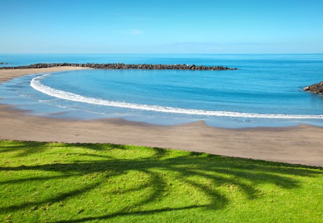 Apartamento en Playa de Las Americas - Beach  Apartment Urbania - Playa de las Americas Apartamento en Playa de Las Americas - Beach  Apartment Urbania - Playa de las Americas
