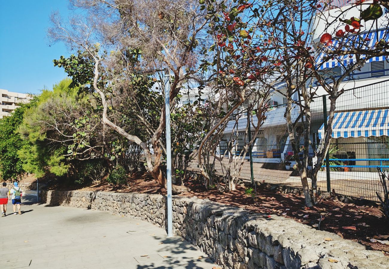 Apartamento en Adeje - Paraiso del Sur Sea View Apartment