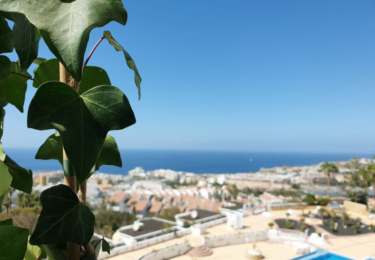 Ferienwohnung in Costa Adeje - Traum Ferienwohnung mit Meerblick - Costa Adeje