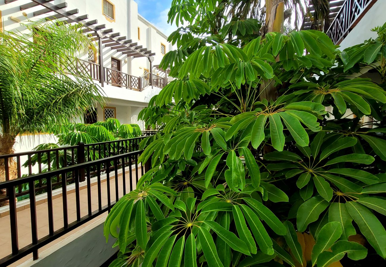 Ferienwohnung in Costa del Silencio - Meerblick Apartment Rocas del Mar