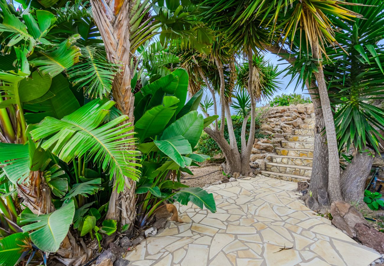 Ferienhaus in Arico - Finca Aurora -  Sea View
