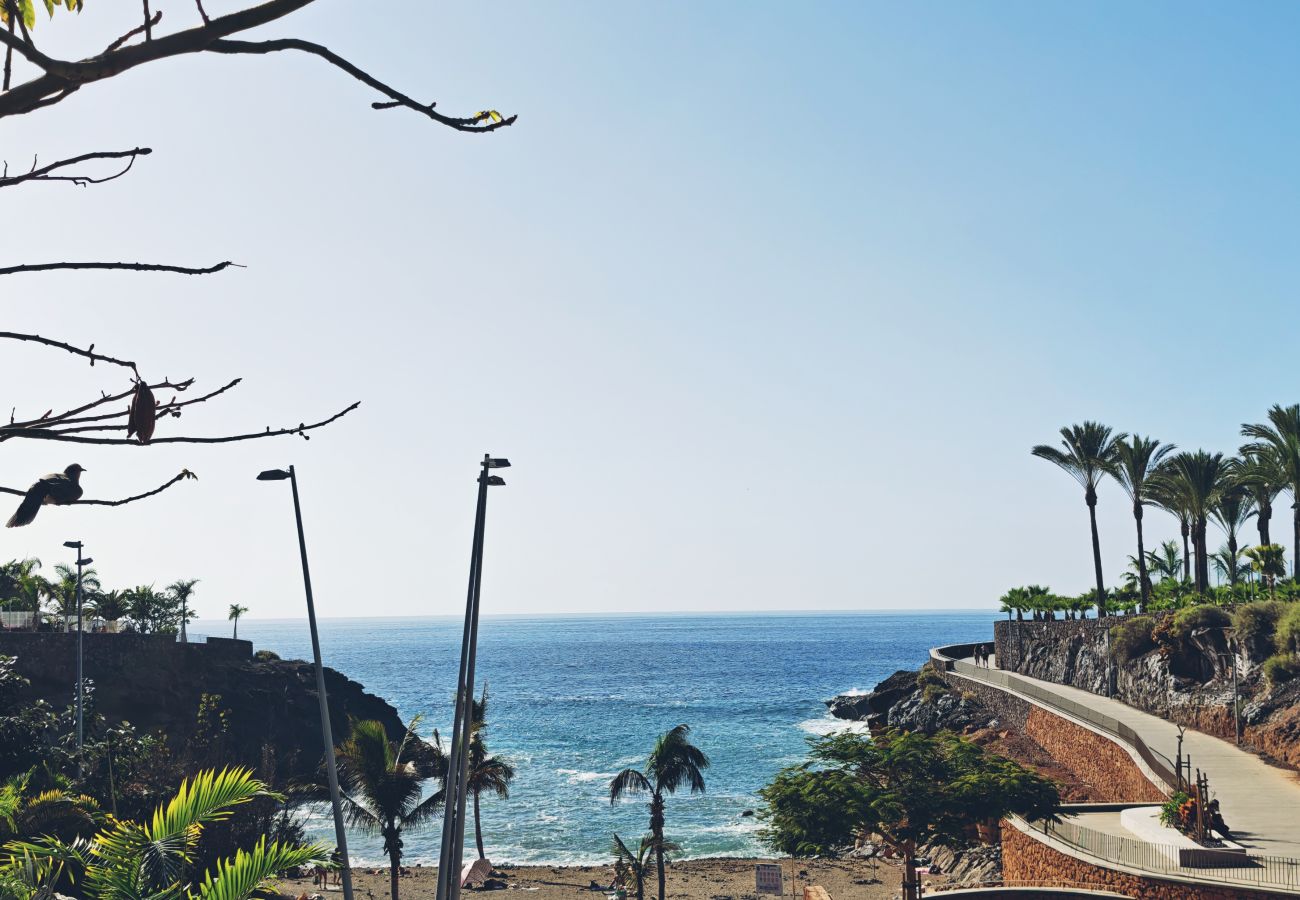 Ferienwohnung in Adeje - Paraiso del Sur Sea View Apartment