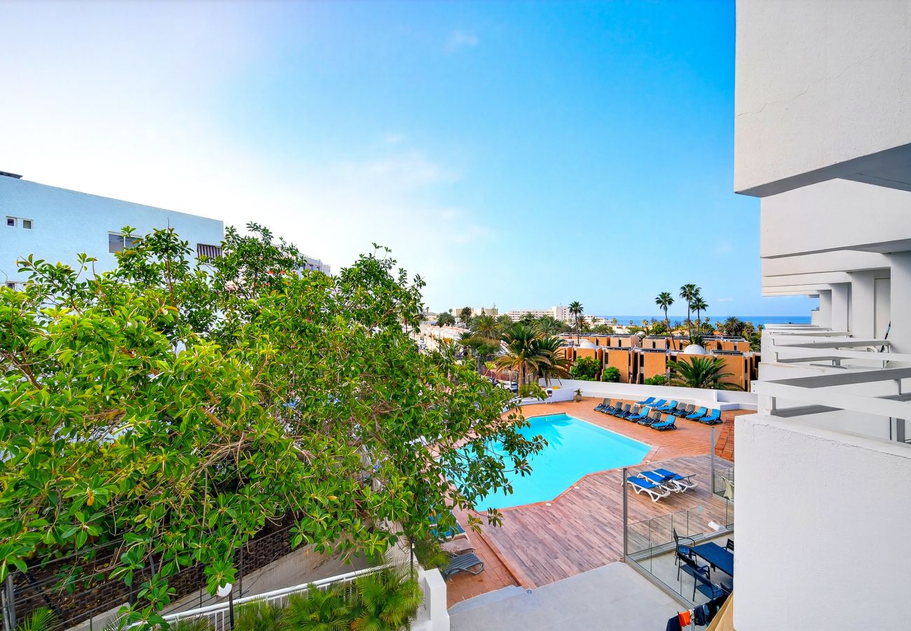 Ferienwohnung in Playa de Las Americas - Sea View Studio Playa de Las  Americas
