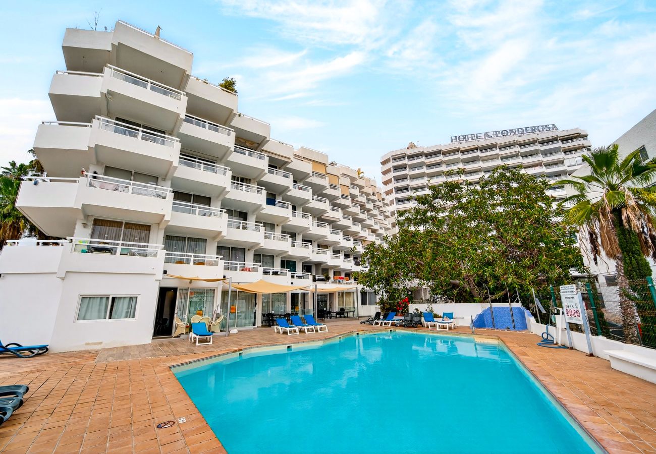 Ferienwohnung in Playa de Las Americas - Sea View Studio Playa de Las  Americas